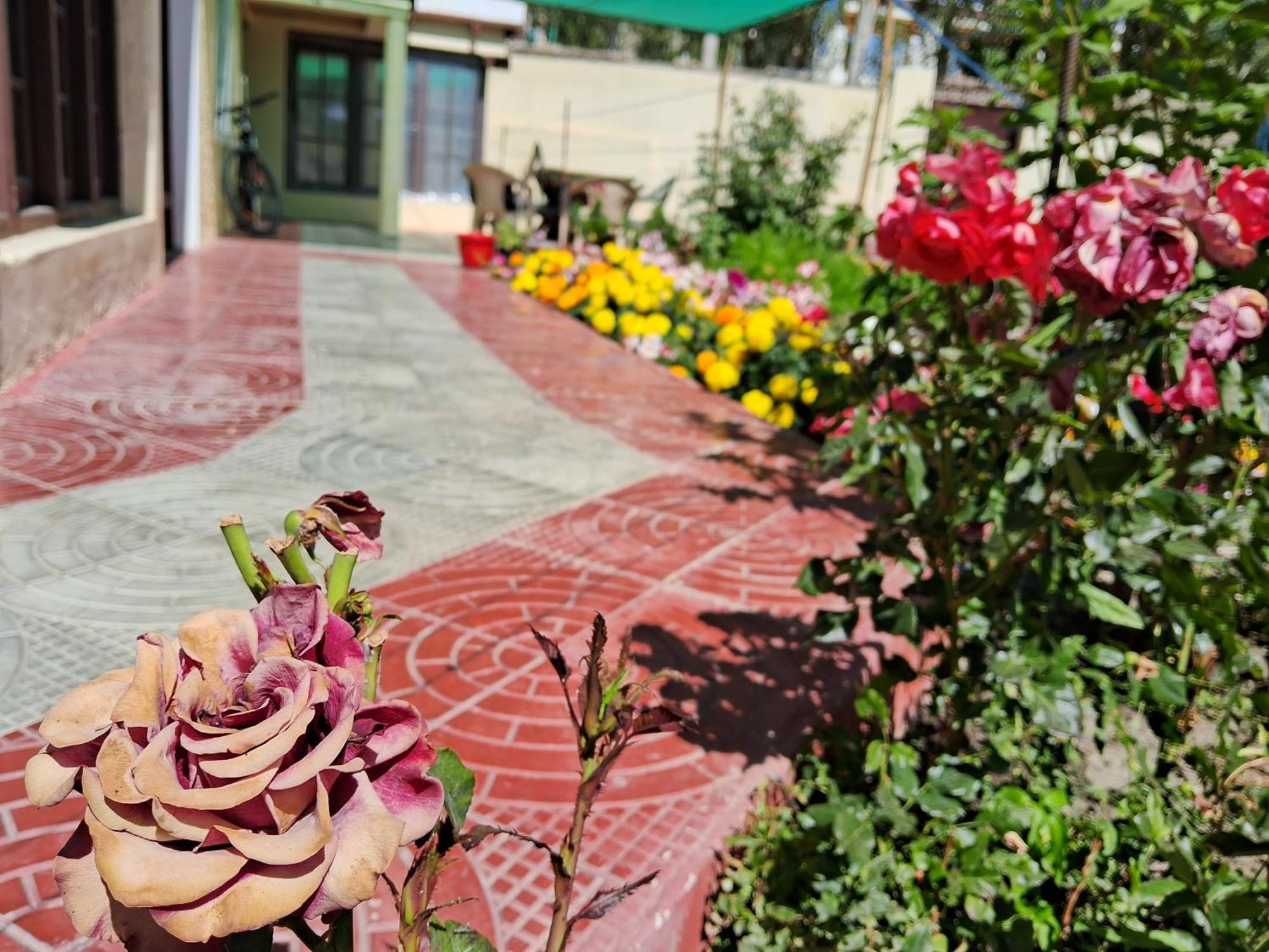 Zaltak Guest House And Hostel Leh Exterior photo