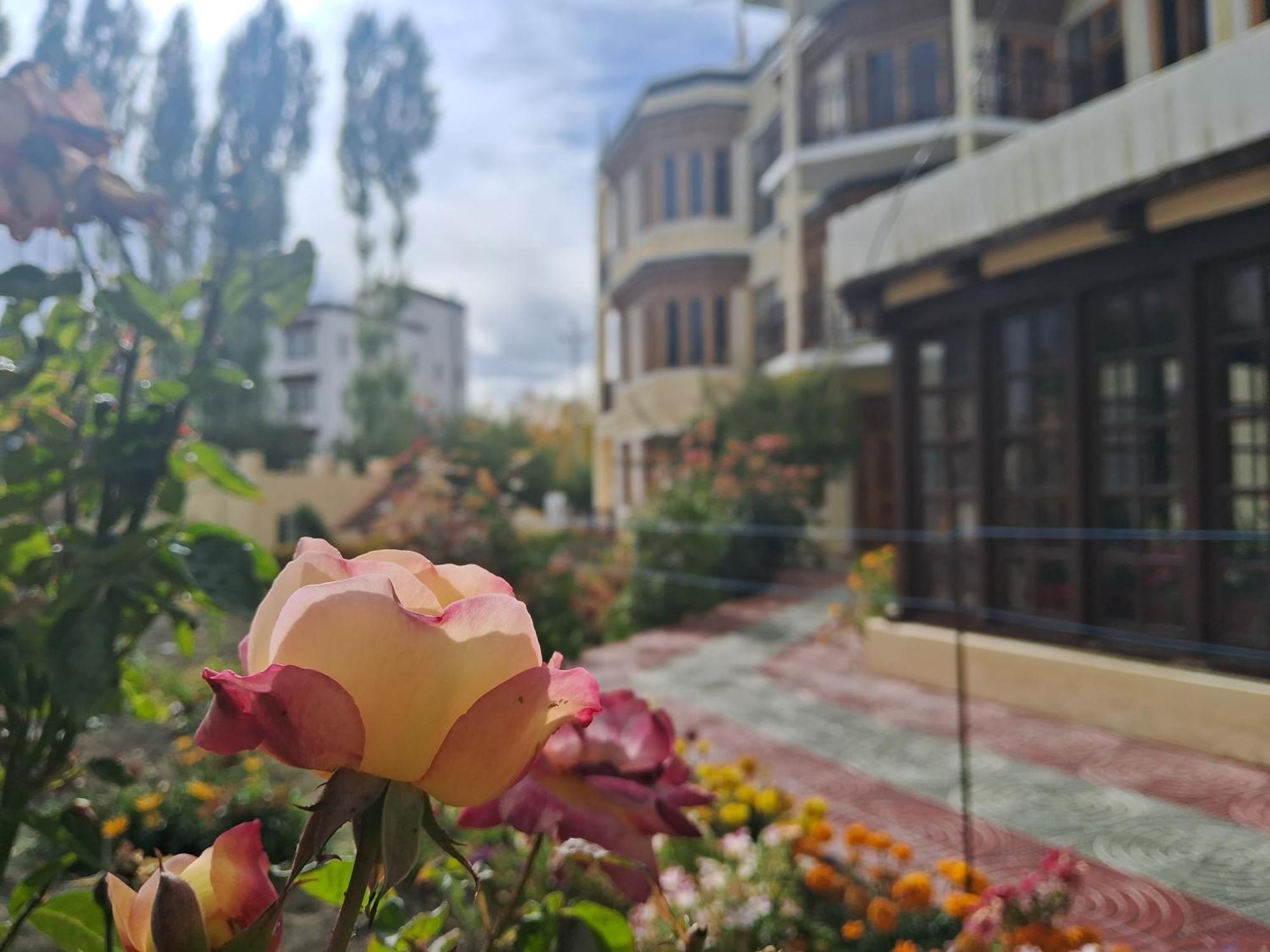 Zaltak Guest House And Hostel Leh Exterior photo