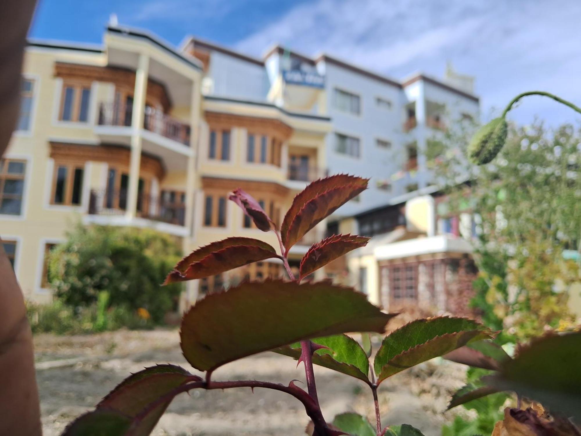 Zaltak Guest House And Hostel Leh Exterior photo