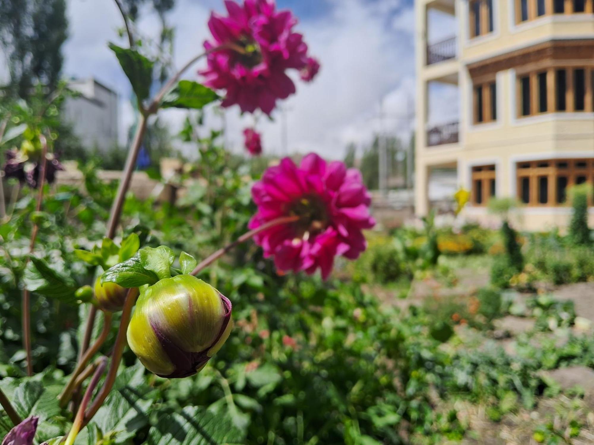 Zaltak Guest House And Hostel Leh Exterior photo