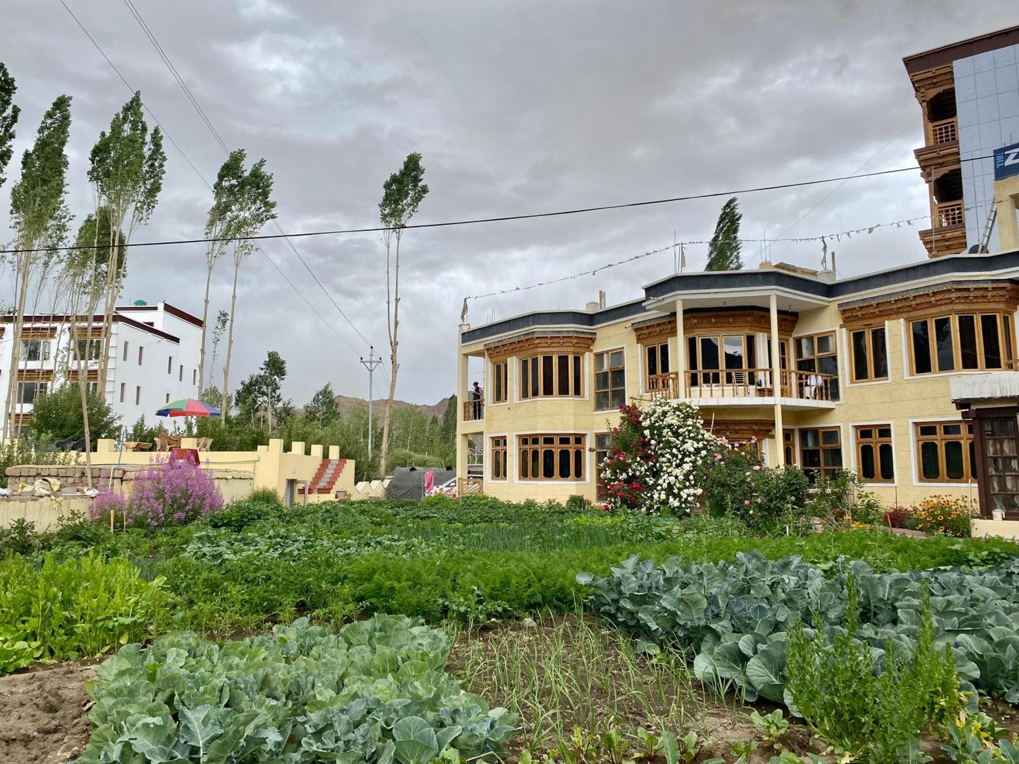 Zaltak Guest House And Hostel Leh Exterior photo